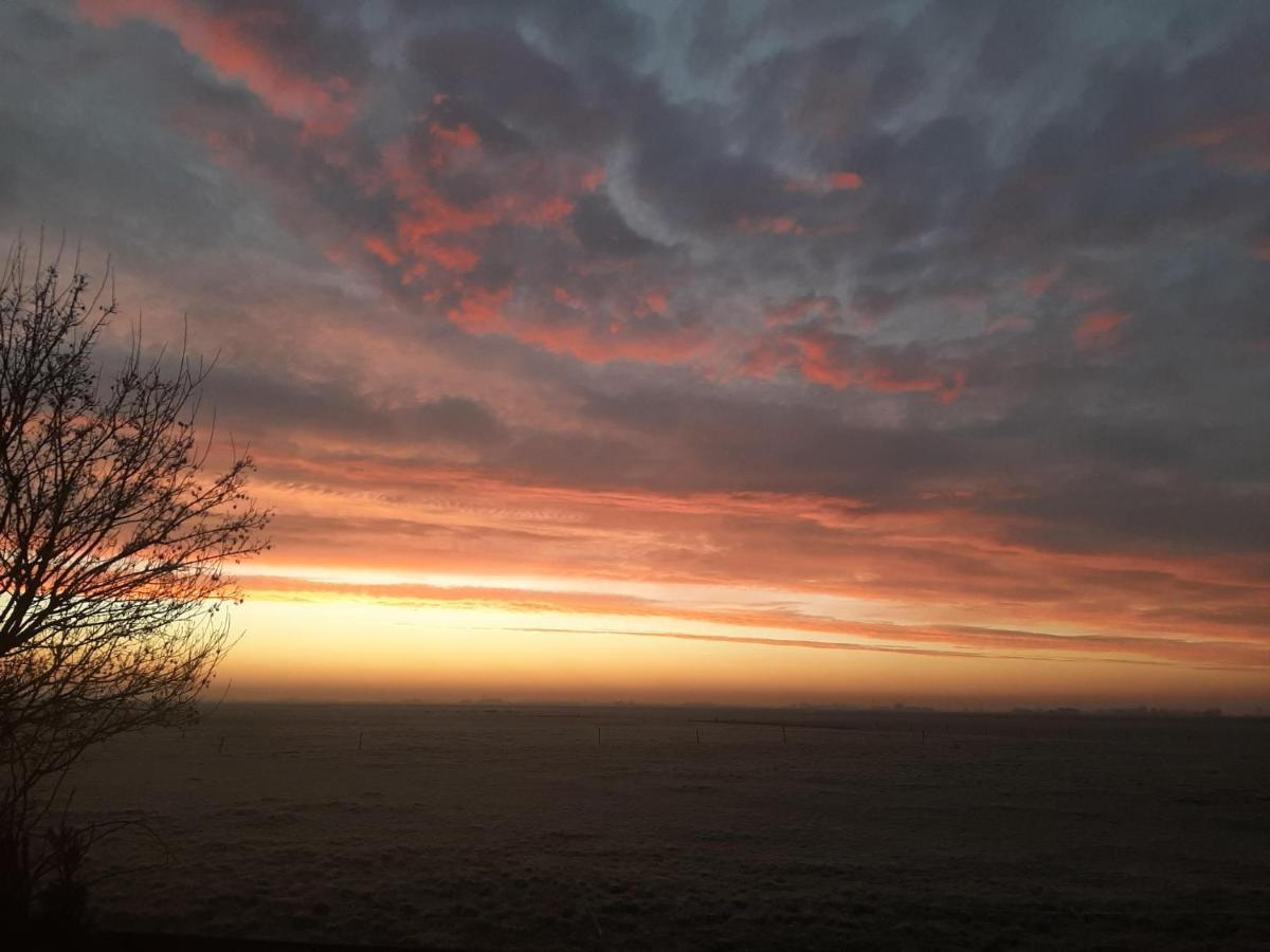 Glamping De Vrije Wind, Tentverhuur Houwerzijl Dış mekan fotoğraf